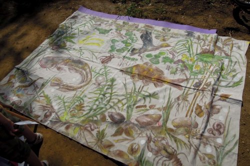 Otevírání mokřadů a tůní - 26.7.2015