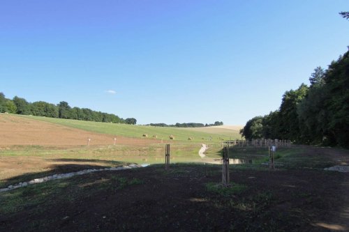 Otevírání mokřadů a tůní - 26.7.2015