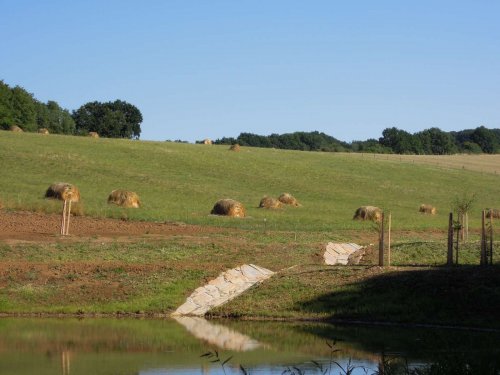 Otevírání mokřadů a tůní - 26.7.2015