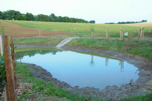 Otevírání mokřadů a tůní - 26.7.2015