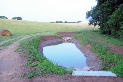 Otevírání mokřadů a tůní - 26.7.2015