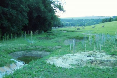 Otevírání mokřadů a tůní - 26.7.2015