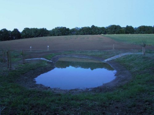 Otevírání mokřadů a tůní - 26.7.2015