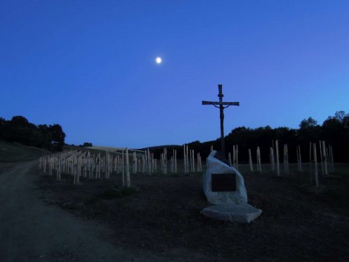 Otevírání mokřadů a tůní - 26.7.2015