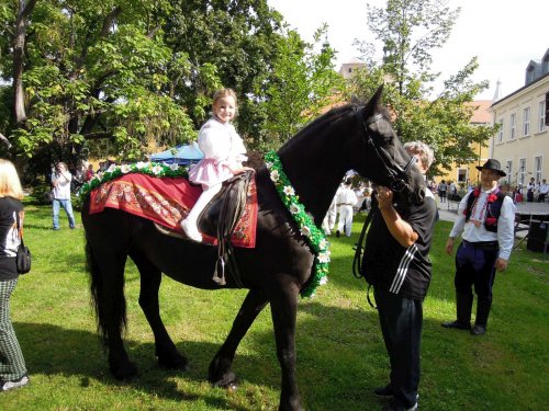 Slovácké slavnosti vína v Uherském Hradišti - 12.9.2015