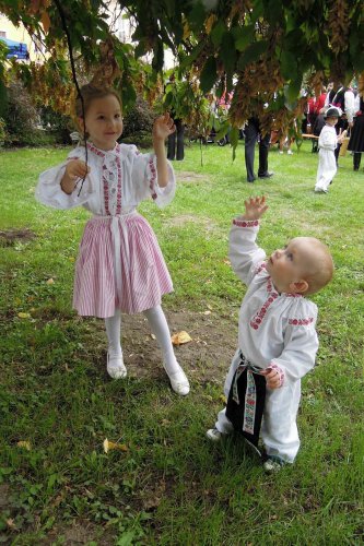 Slovácké slavnosti vína v Uherském Hradišti - 12.9.2015