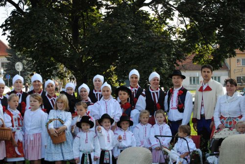 Slovácké slavnosti vína v Uherském Hradišti - 12.9.2015
