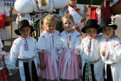 Slovácké slavnosti vína v Uherském Hradišti - 12.9.2015