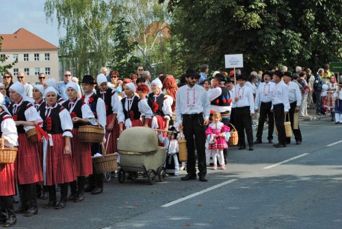 Slovácké slavnosti vína v Uherském Hradišti - 12.9.2015