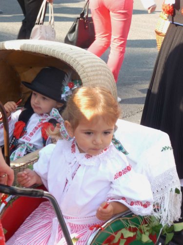 Slovácké slavnosti vína v Uherském Hradišti - 12.9.2015
