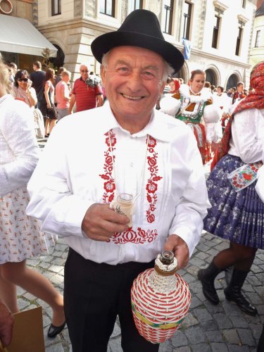 Slovácké slavnosti vína v Uherském Hradišti - 12.9.2015