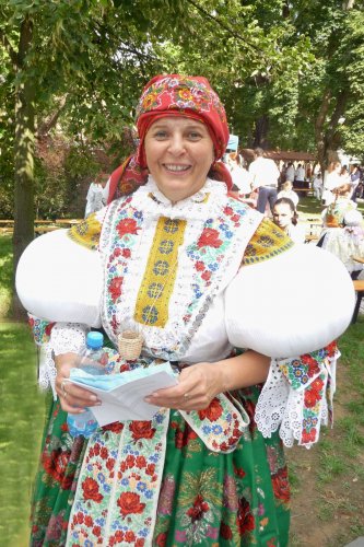 Slovácké slavnosti vína v Uherském Hradišti - 12.9.2015