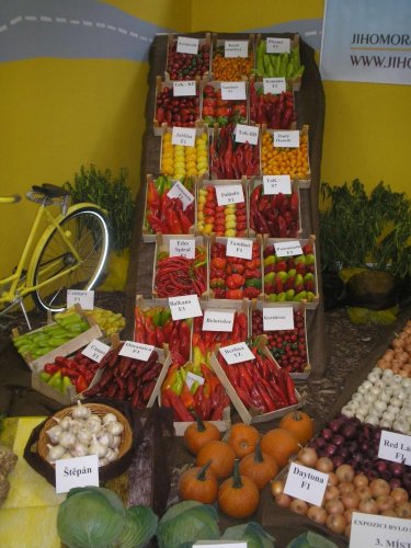 Zájezd zahrádkářů na Floru Olomouc - 3.10.2015