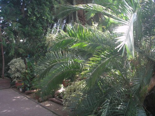 Zájezd zahrádkářů na Floru Olomouc - 3.10.2015