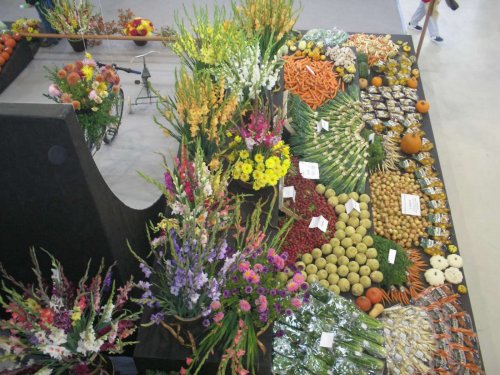 Zájezd zahrádkářů na Floru Olomouc - 3.10.2015