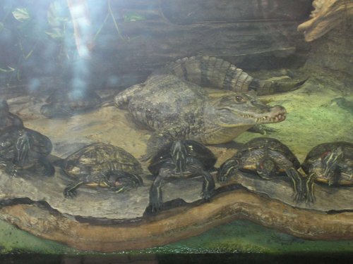 Zájezd zahrádkářů na Floru Olomouc - 3.10.2015