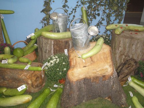 Zájezd zahrádkářů na Floru Olomouc - 3.10.2015