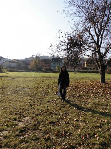 Cvičení pejsků - 1.11.2015