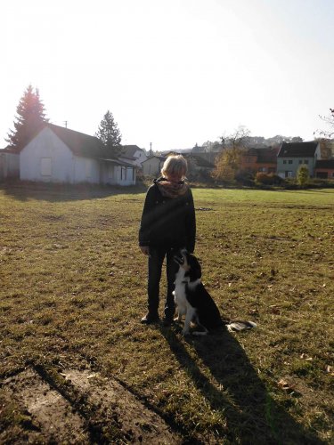 Cvičení pejsků - 1.11.2015