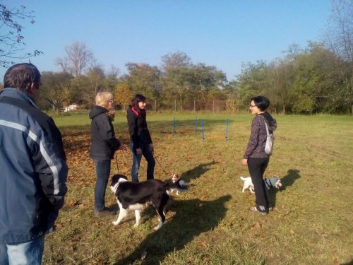 Cvičení pejsků - 1.11.2015