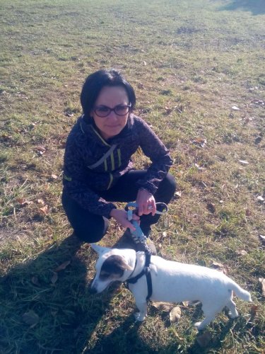 Cvičení pejsků - 1.11.2015