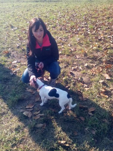 Cvičení pejsků - 1.11.2015