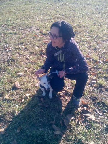 Cvičení pejsků - 1.11.2015