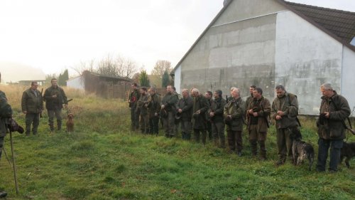 Myslivecký hon - 7.11.2015