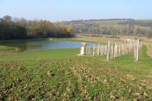 Včelaři z Podolí - 5.11.2015