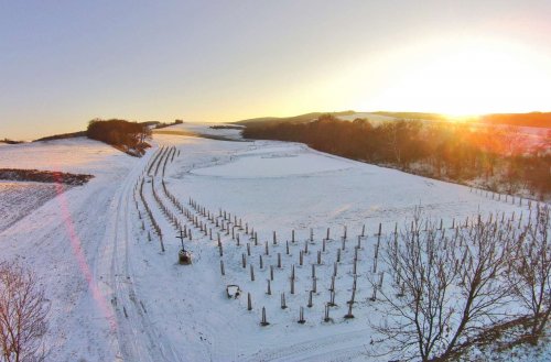 Mokřady a obec z výšky - 22.1.2016