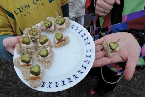 Fašanková obchůzka - 13.2.2016