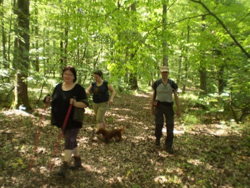 Katastrální putování - 22.5.2016