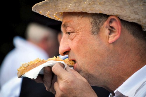 Kosecké písně Buchlovice - 29.5.2016