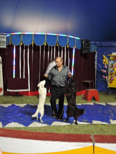 Cirkus Carneval - 20.8.2016