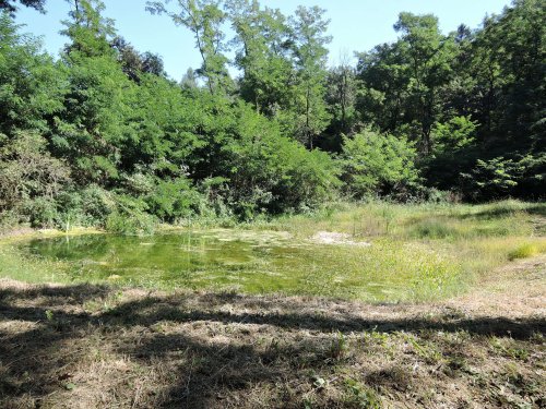 Veselý Hluboček - 4.9.2016