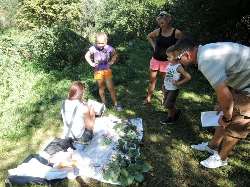 Veselý Hluboček - 4.9.2016