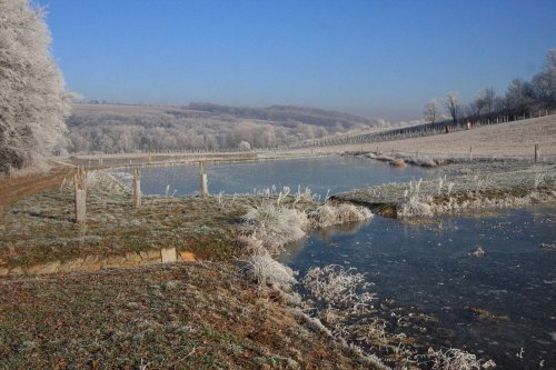 Ojíněné Podolí - 1.1.2017