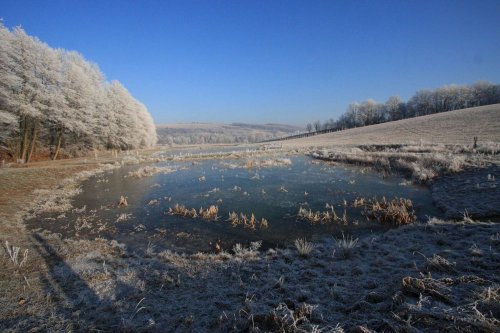 Ojíněné Podolí - 1.1.2017