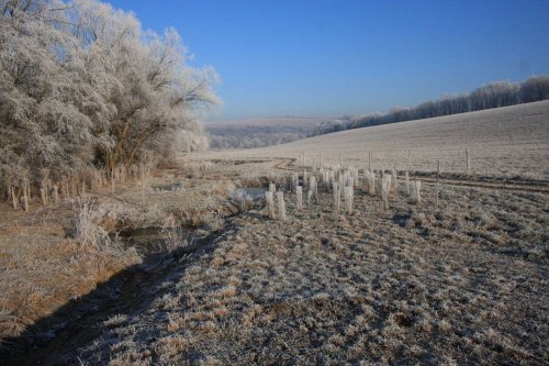 Ojíněné Podolí - 1.1.2017