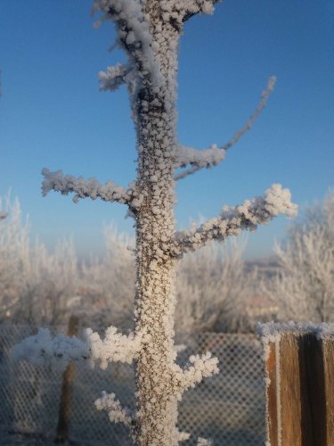 Ojíněné Podolí - 1.1.2017