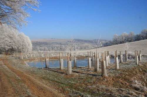 Ojíněné Podolí - 1.1.2017