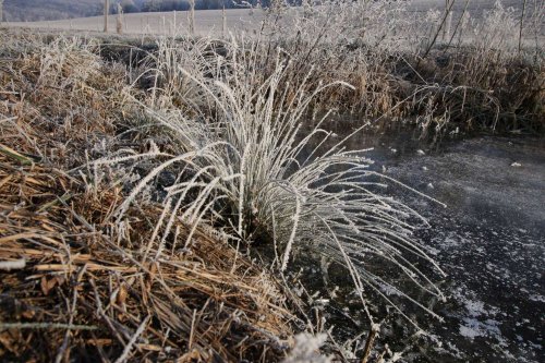 Ojíněné Podolí - 1.1.2017
