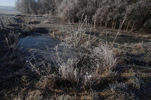 Ojíněné Podolí - 1.1.2017