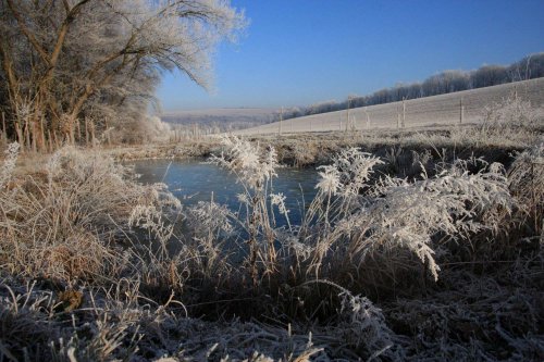 Ojíněné Podolí - 1.1.2017