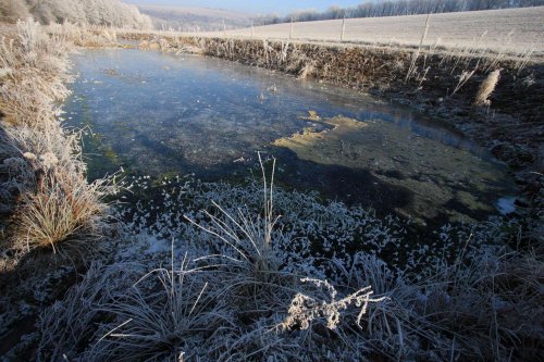 Ojíněné Podolí - 1.1.2017