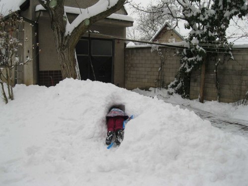 Soubor /2017-02-02-snih-v-podoli-22.jpg