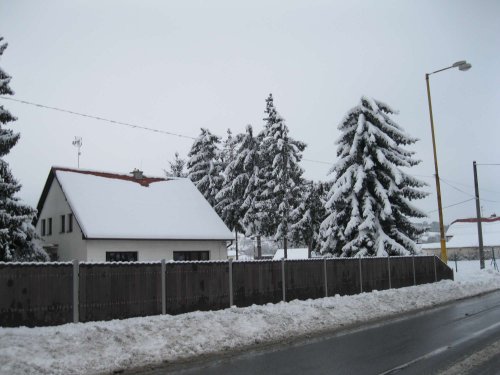 Sníh na podolsku - 12.2.2017