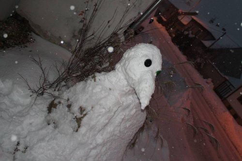 Sníh na podolsku - 12.2.2017