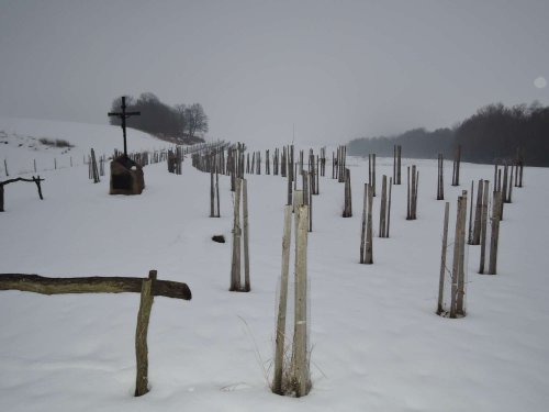 Světový den mokřadů v Podolí - 4.2.2017