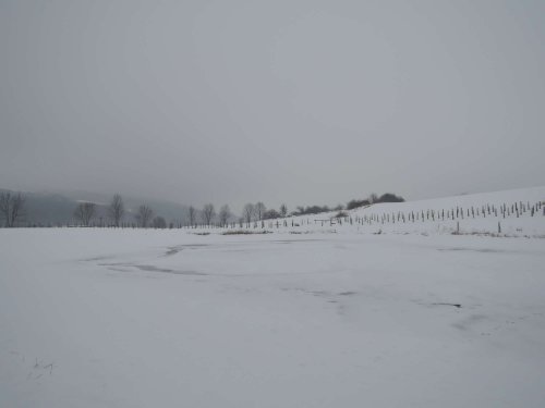 Světový den mokřadů v Podolí - 4.2.2017